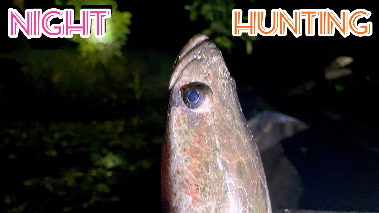 മീൻ പിടുത്തത്തിലെ കള്ളത്തരങ്ങൾ 😀