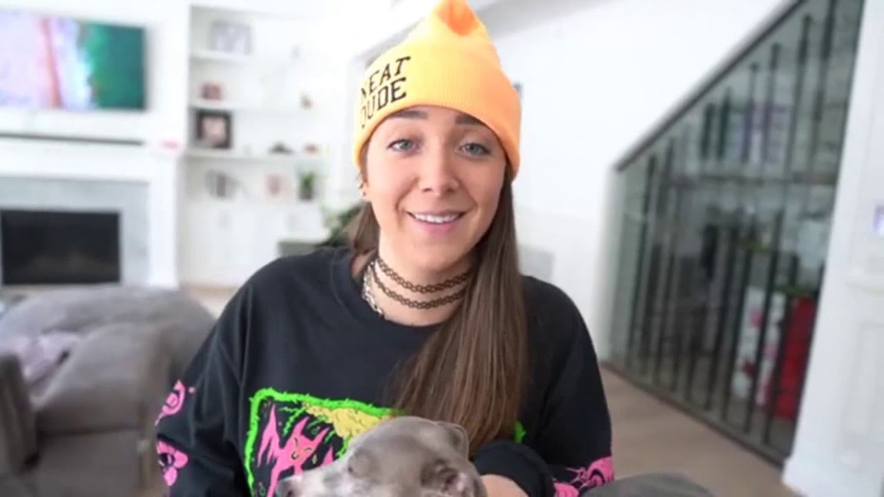 Testing A Viral Dog Car Harness YouTube