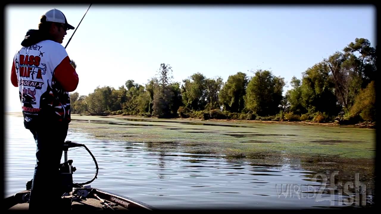 Fishing Grass Class - Line Choices - YouTube