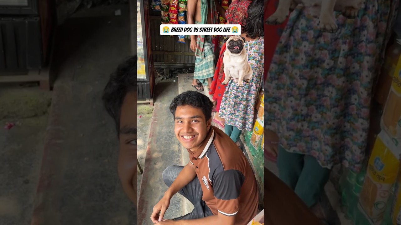 কুকুরের জীবন আসলেই কষ্টের 🥹 #mrcoosh