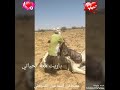 البادية