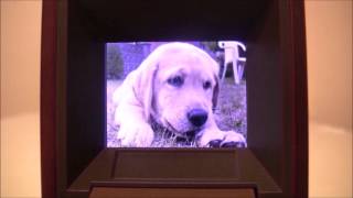 メモリアルムービーボックス「ペットの想い」