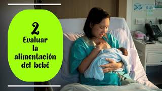 ¿CÓMO BRINDAR LA LACTANCIA MATERNA EN UN BEBÉ PREMATURO? | Dr.Isla