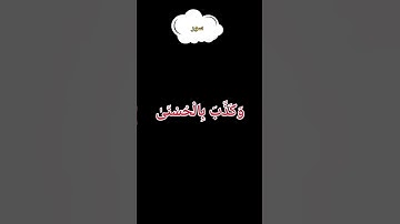 سورة الليل #المصحف #القرءان_الكريم #اكسبلور #لايك #duet #الرحمن #سورة