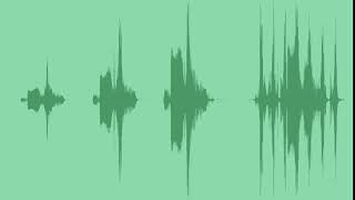 Coins Rattle Sound Effects
