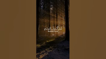 تلاوة نادرة وتهز المشاعر! الشيخ ياسر الدوسري في أروع تلاوة لـ "مثل نوره كمشكاة". 🤲