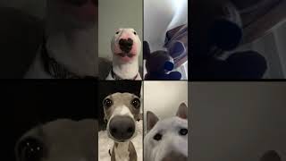 Wenn Ich Mit Meinen Freunden Spreche