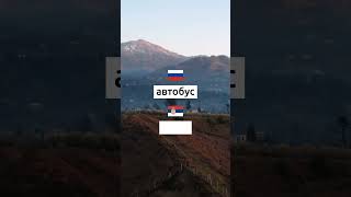 Учим сербский каждый день. Упражнения и викторины на сербском языке