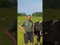 Tierwohl auf die 1