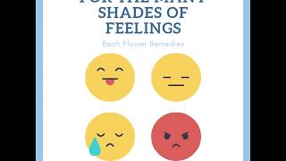 Emotional Problems? Try Bach Flower Medicines