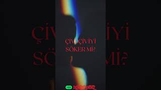 Çi̇vi̇ Çi̇yi̇ Söker Mi̇?