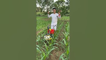 #Farmer’s Good Helper #Multi-function micro tillage machine