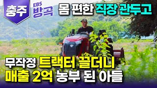 [충북 충주] '서울에서 직장 잘 다니던 아들이 사표 쓰고 내려왔다' 몸 편한 책상 앞 대신 트랙터에 앉더니 복숭아 농사로 매출 2억 농부가 된 아들┃#한국기행 #방방곡곡