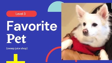 Favorite pet | Owasp juice shop level 3
