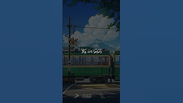 القران الكريم"المنشاوي" #اكسبلور #حالات_واتس #المصحف