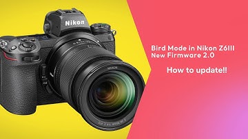 Bird eye detection | Nikon z6iii | Firmware 2.0 | How to update firmware