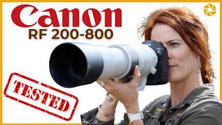 Canon RF 200-800 |  Field Test and First Impressions