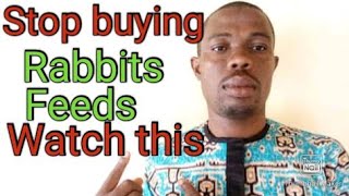 30 Best rabbits feeds in Nigeria [REBI LEVI ideas].