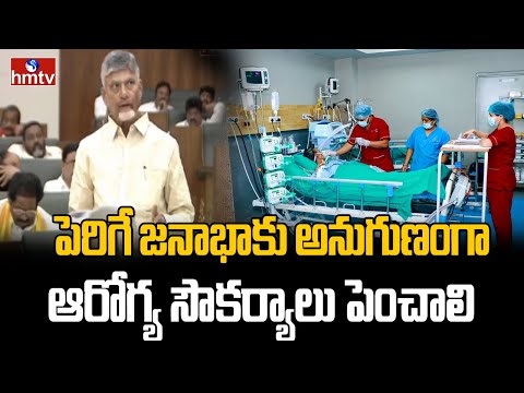 పెరిగే జనాభాకు అనుగుణంగా ఆరోగ్య సౌకర్యాలు పెంచాలి | Chandrababu | AP Assembly | hmtv - HMTVNEWS