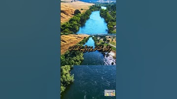 قرآن كريم تلاوه خاشعه  بصوت جميل ماشاءالله #shorth #shortvideo #الشيخ_نواف_الاحمد_الصباح