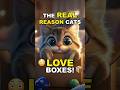 Unboxing the Truth: Why Cats Love Boxes!