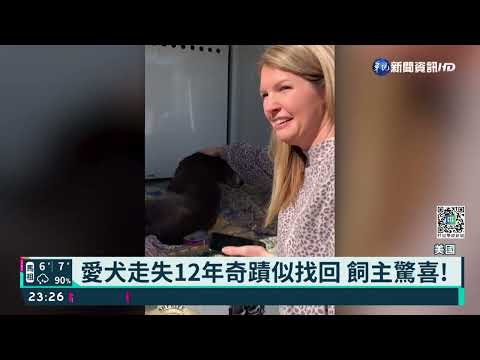 愛犬走失12年奇蹟似找回 飼主驚喜!｜華視新聞 20220222