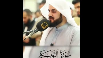 ستوريات دينيه /🌱/ سورة التوبة /🌱/ رعد الكردي /🌱/#رعد_الكردي /🌱/ حالات واتس آب قرآن/آيات قرانية قصيرة