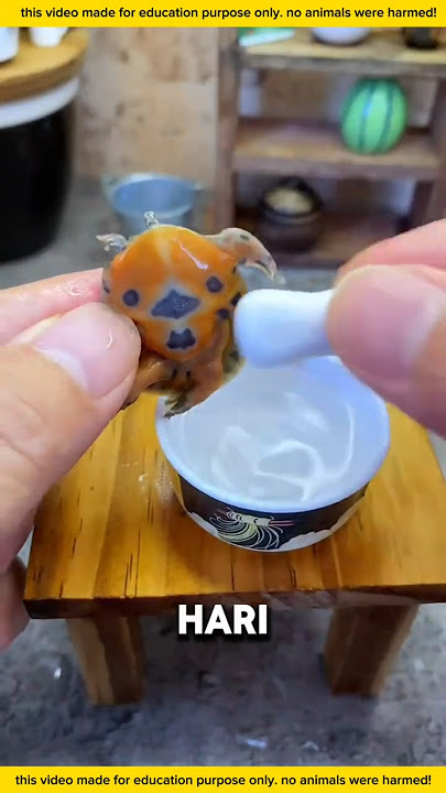 IBUNYA AKAN MEMASAK KURA-KURA ⁉️#shortsviral #kurakura #kocak