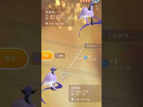 寶可夢第一次亮晶晶好友✨#pokemon #pokemongo #急凍鳥 #亮晶晶
