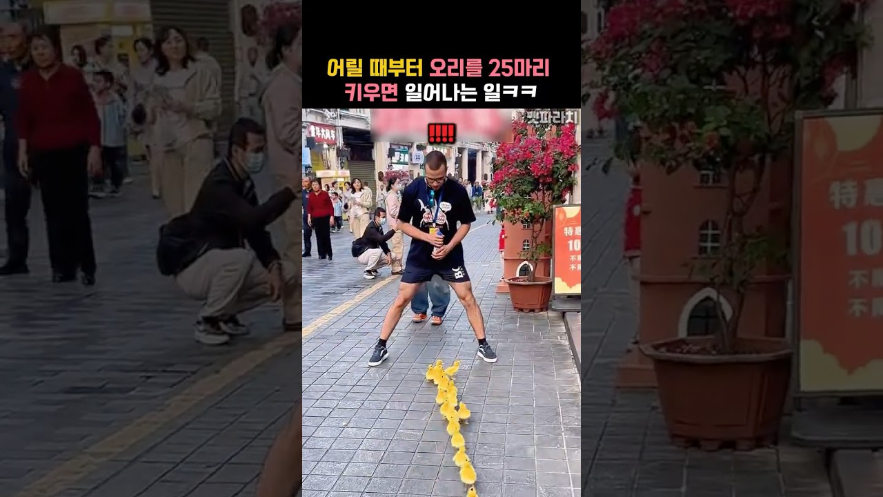 어릴 때부터 오리를 25마리 키우면 일어나는 일ㅋㅋ #동물 #오리