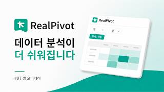 RealPivot2 신제품 소개 7편: 셀 오버레이 설정