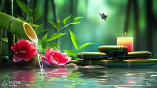 Relaxing Piano Music - Soothing Music & Water Sounds, Meditation Music, Birds Singing, Sleep