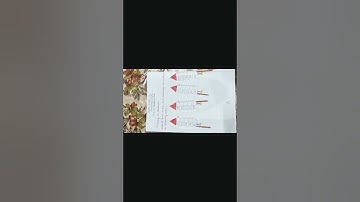 ECPS Prayagraj Class-1 (A, B, C, D)