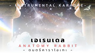 Anatomy Rabbit - เอเรนเดล (INSTRUMENTAL KARAOKE) @AnatomyRabbit2