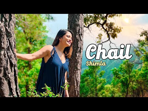 Incredible Offbeat Shimla Trip: Explore Chail, Nature's Paradise Near Shimla