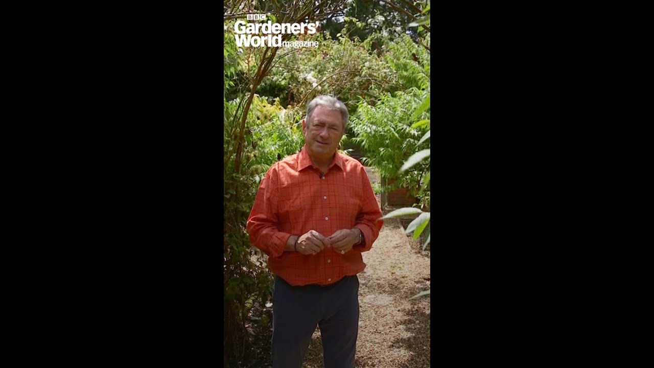 Not pruning climbers | Common pruning mistakes to avoid