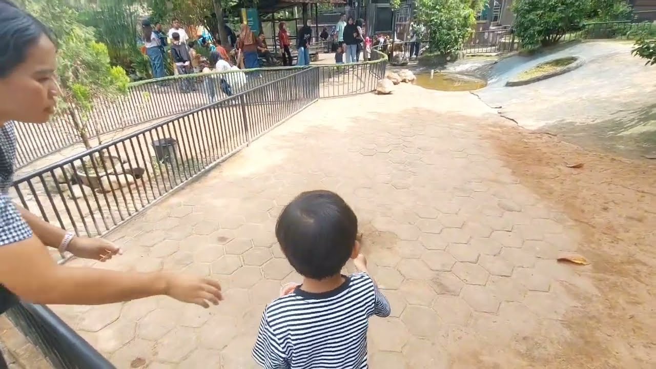 Cafe dengan banyak permainan nya, gratis biaya masuk, bisa naik kuda dan main air di sawah sepuasnya