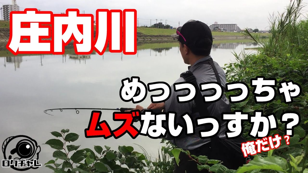 バス釣り 庄内川 愛知 庄内川にバスはいない と 思うほど難しかった Youtube