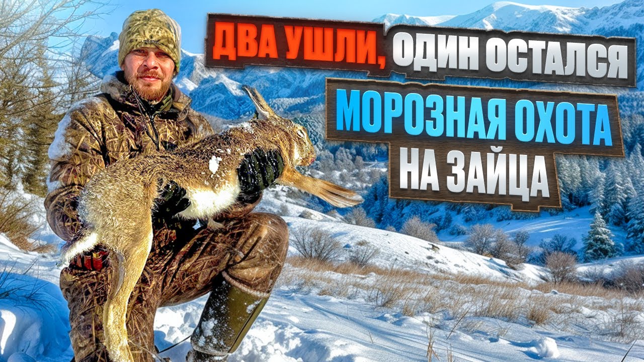 Два ушли, один остался. Морозная охота на зайца в Крыму.