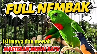 SUARA BURUNG SERINDIT GACOR NEMBAK PANJANG BIKIN EMOSI LAWAN #masteranampuh #birds #muraibatu