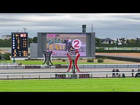 2021.12.5 本馬場入場 ザ・チャンピオン