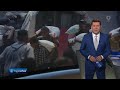 Tagesschau 20 00 Uhr 08 06 2025