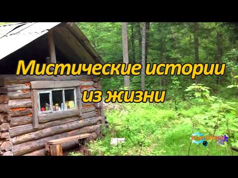 Мистические истории из жизни Мистические истории из жизни