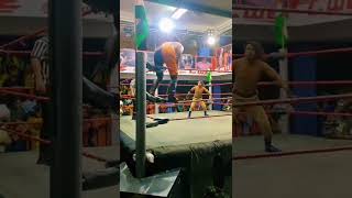 Current Cwe World Heavyweight Tag Team Champion