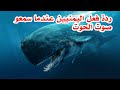 سمعنا صوت الحوت الازرق في اليمن | شوفوا ايش حصل