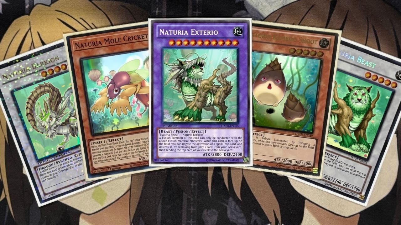 My Naturia Yugioh Deck Profile For January 2025 YouTube Maxresdefault