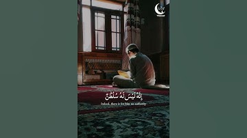 قرآن كريم / بصوت القارئ - عبدالرحمن مسعد / حالات واتساب دينية!