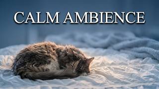 😻 Lilibet's Gentle Purrs & Soft Blues Music | Cozy Cat Relaxation on a Sunny Bed (1 Hour 12 Minutes) screenshot 4