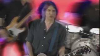 Mudhoney - Sonic Infusion - Music Video