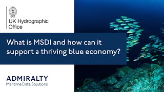 What is MSDI and how can it support a thriving blue economy?